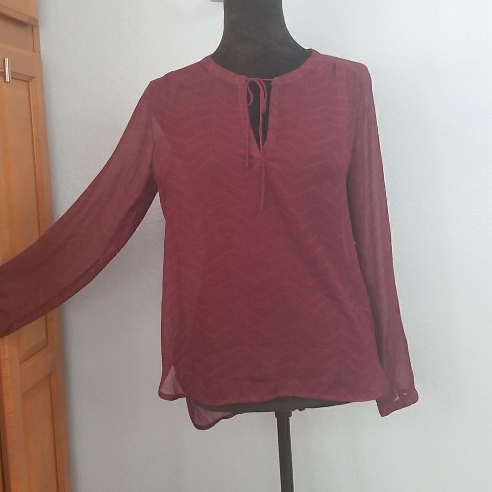 Gap sheer long sleeved shirt